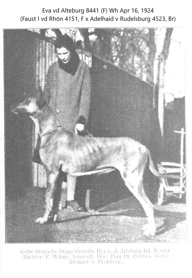 Eva vd Alteburg
